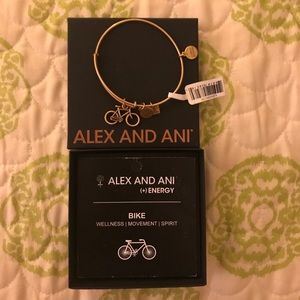 Alex and Ani Bracelet